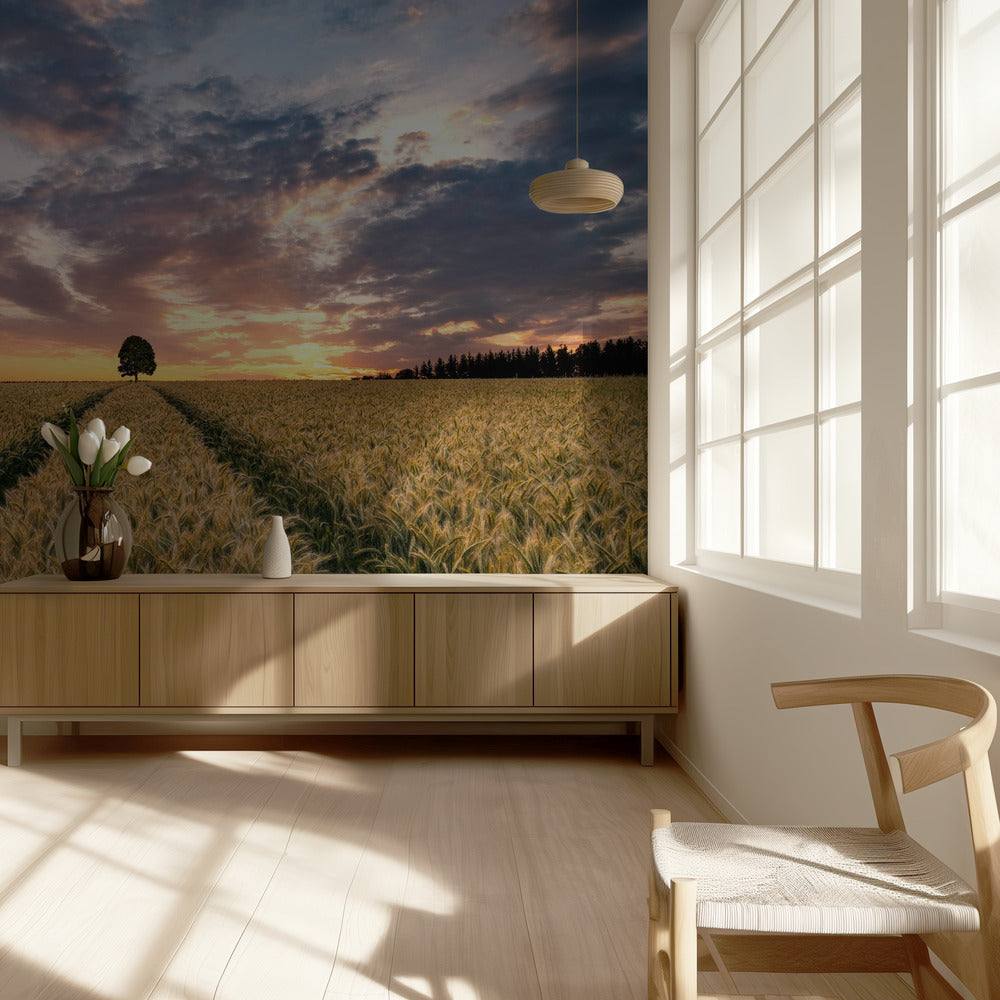 Field of dreams | Wallpaper