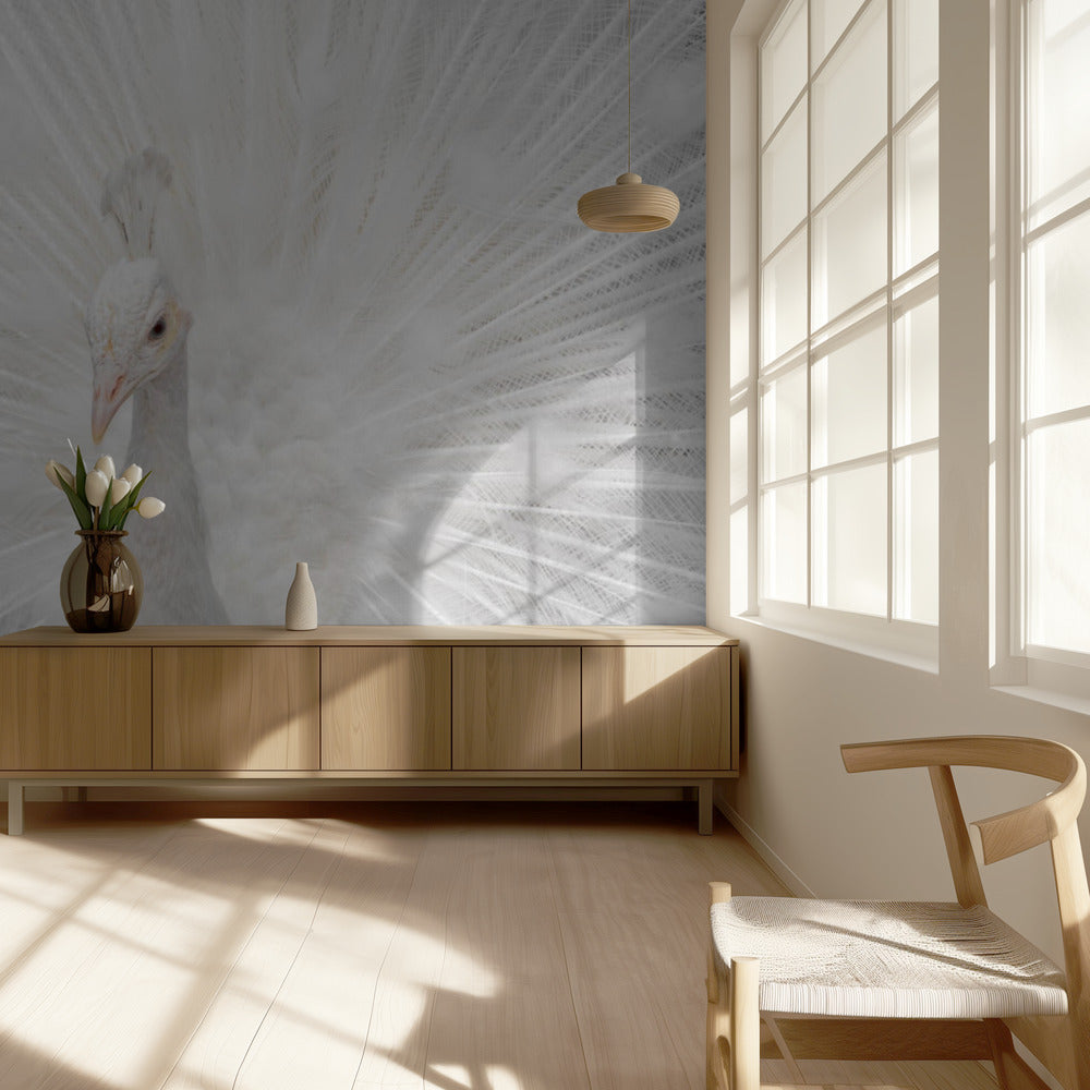 Splendid Whitie | Wallpaper