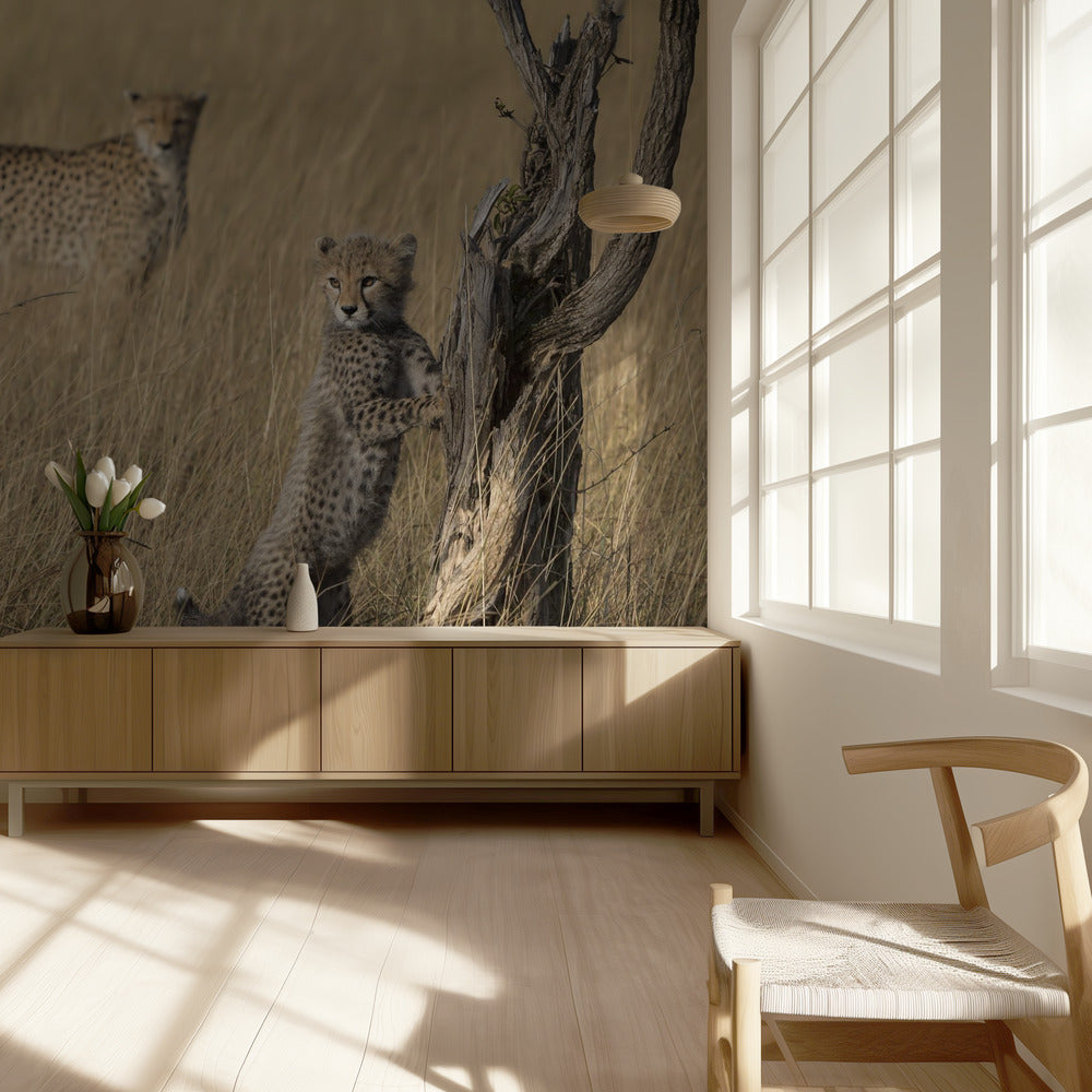 I've Got it Mum | Wallpaper