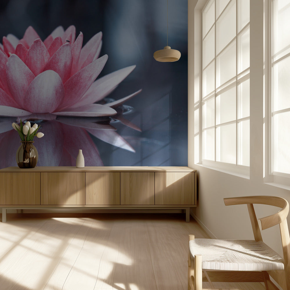 Padmasana | Wallpaper