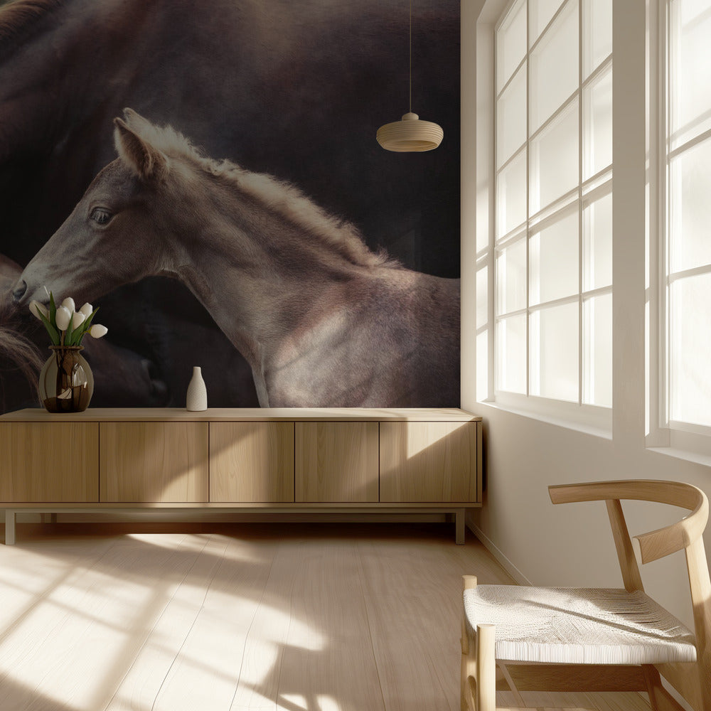 The Bond | Wallpaper