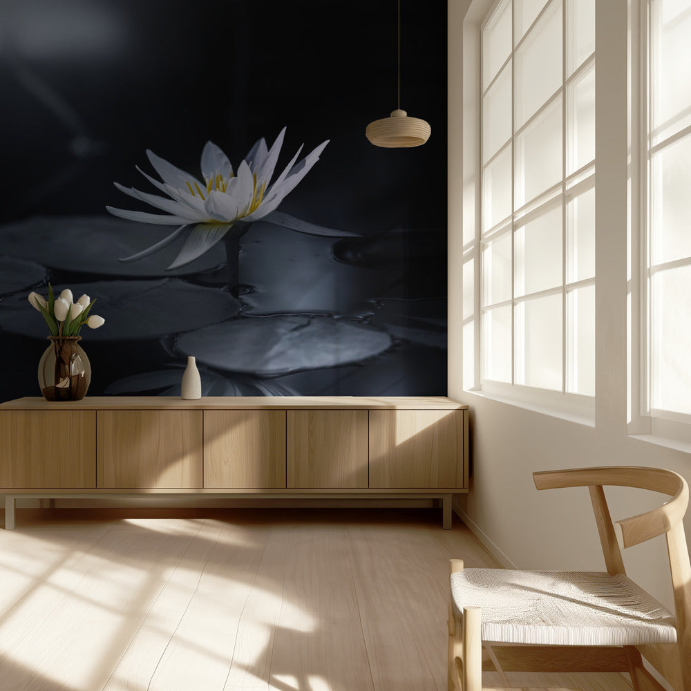 Reflection | Wallpaper