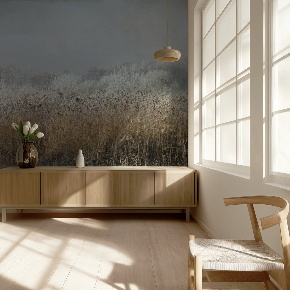 Wintermorning | Wallpaper