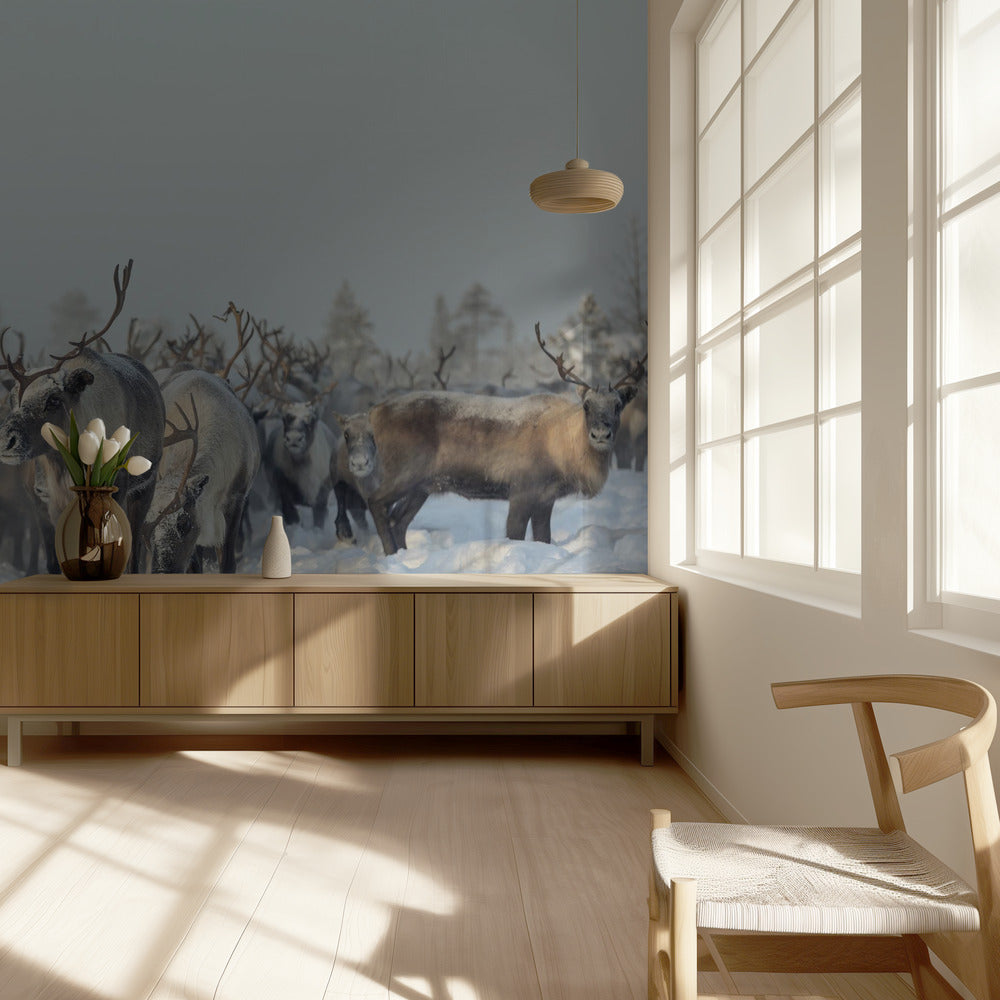 Reindeers | Wallpaper