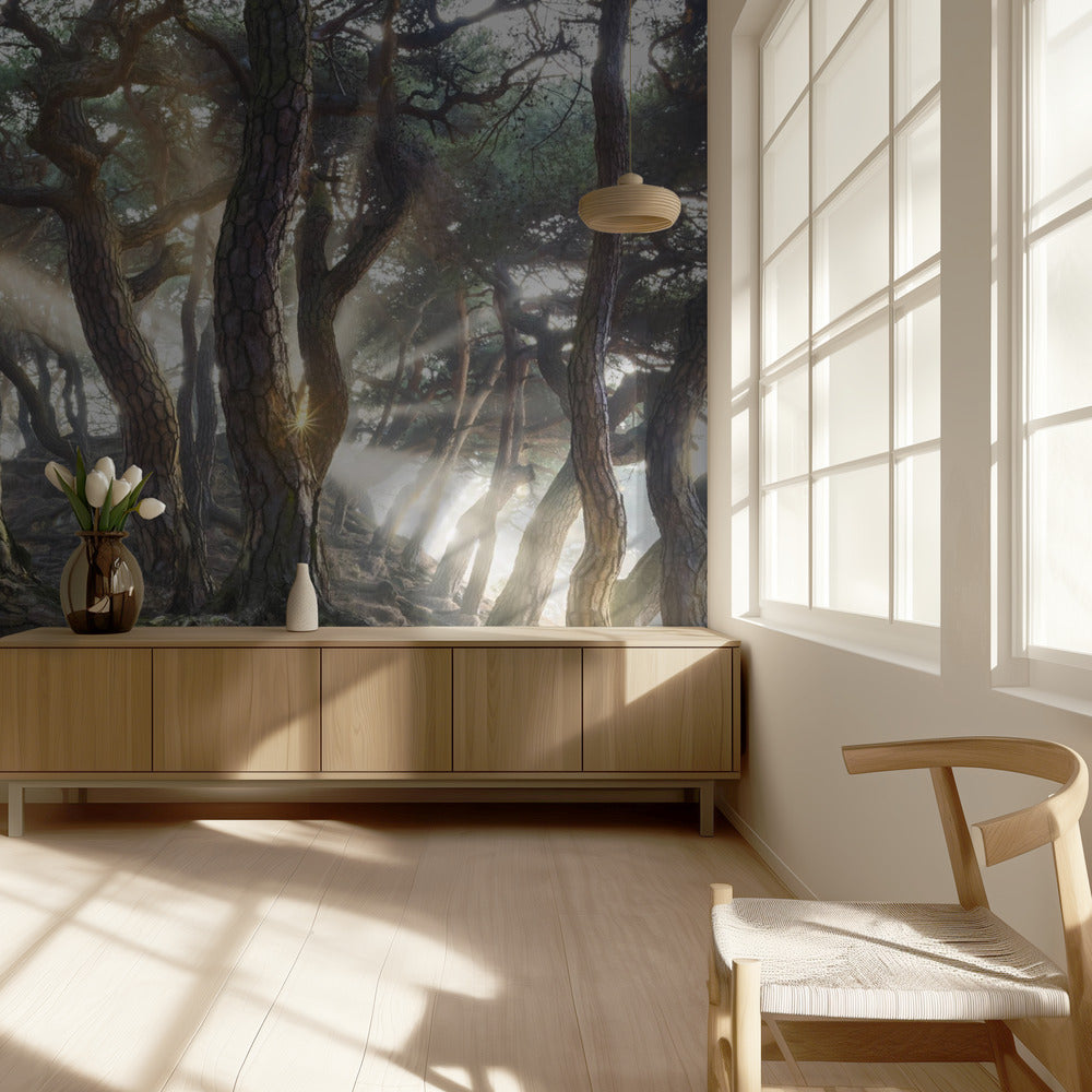 Sacred Pine Trees | Wallpaper