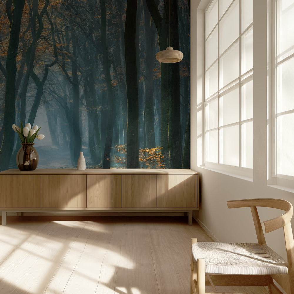 Cold Light | Wallpaper