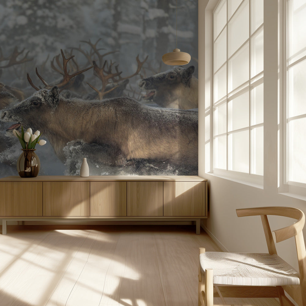 Reindeers III | Wallpaper