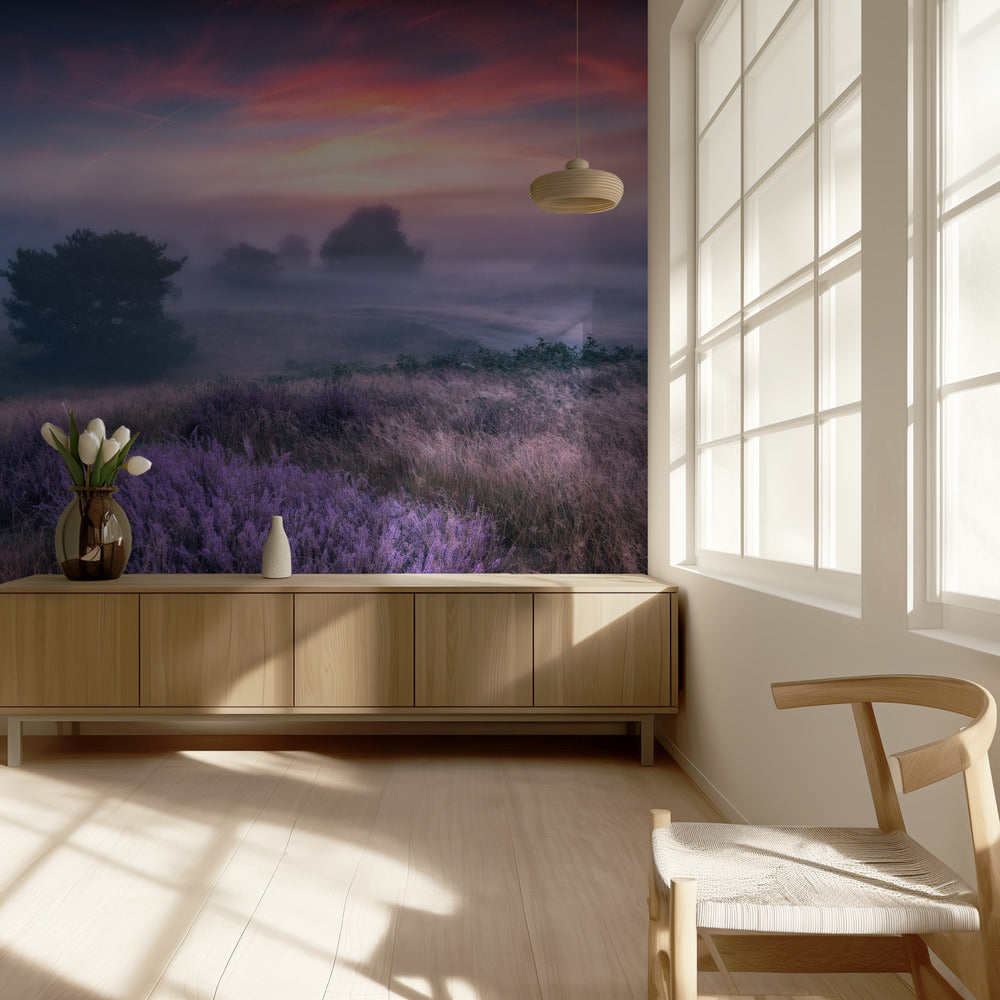 &quot;the colors of heather&quot; | Wallpaper