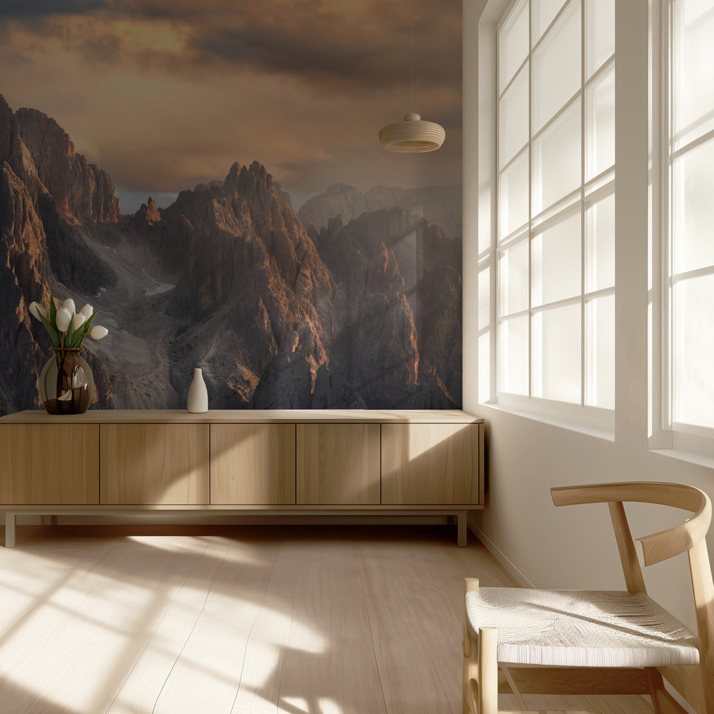 Light on the Path | Wallpaper