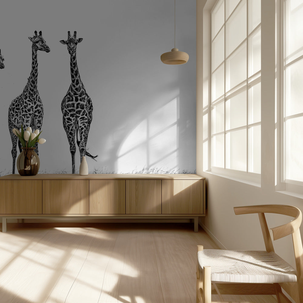 Giraffes in the  Mara plains | Wallpaper