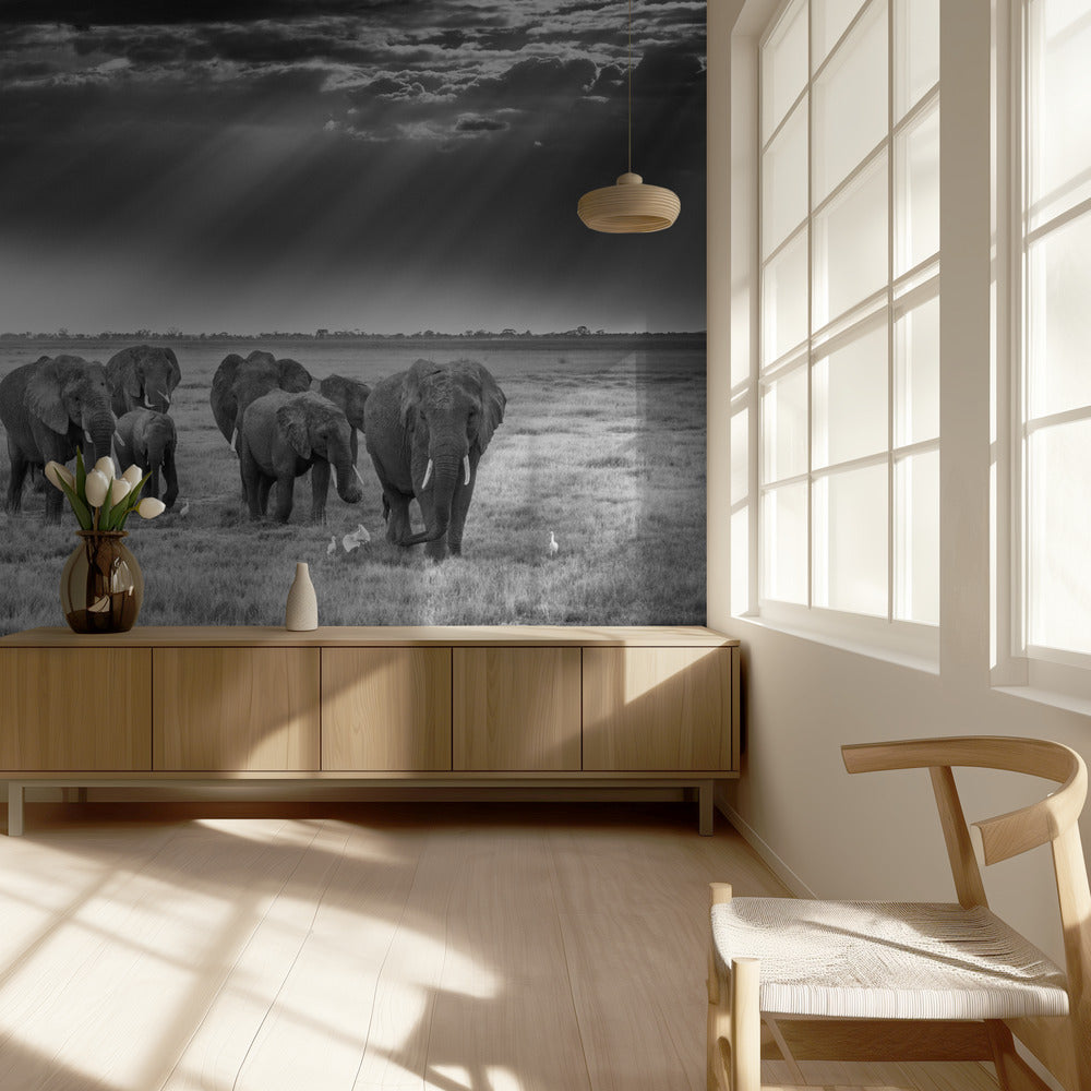 Breakfast with pachyderms | Wallpaper