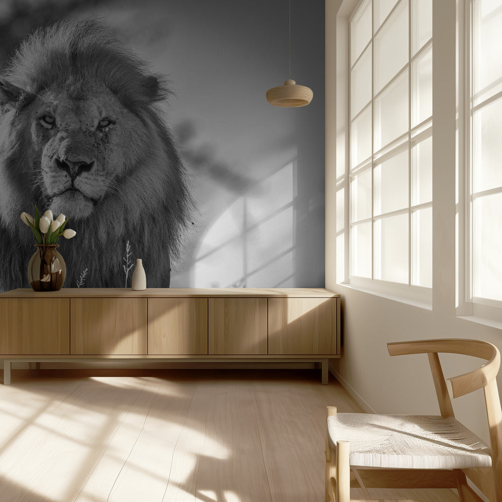 Monochromatic lion king | Wallpaper