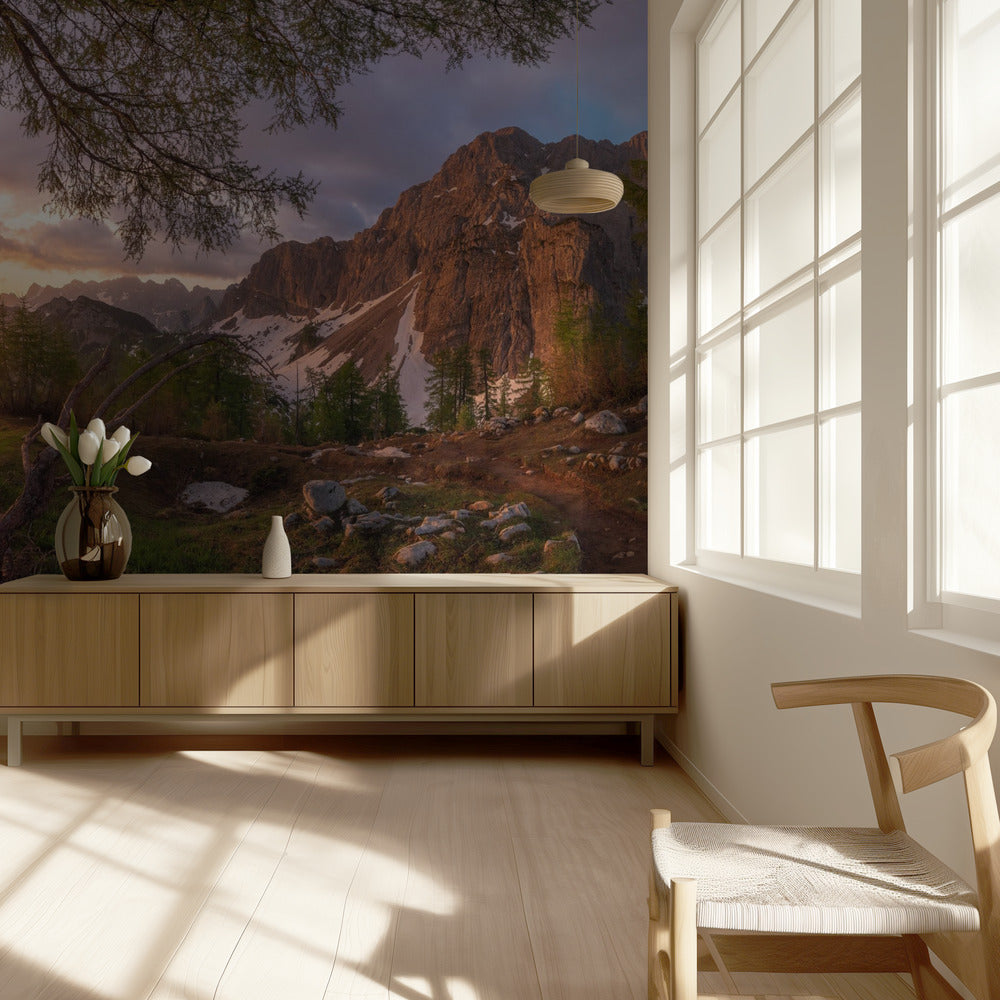 Magical morning | Wallpaper