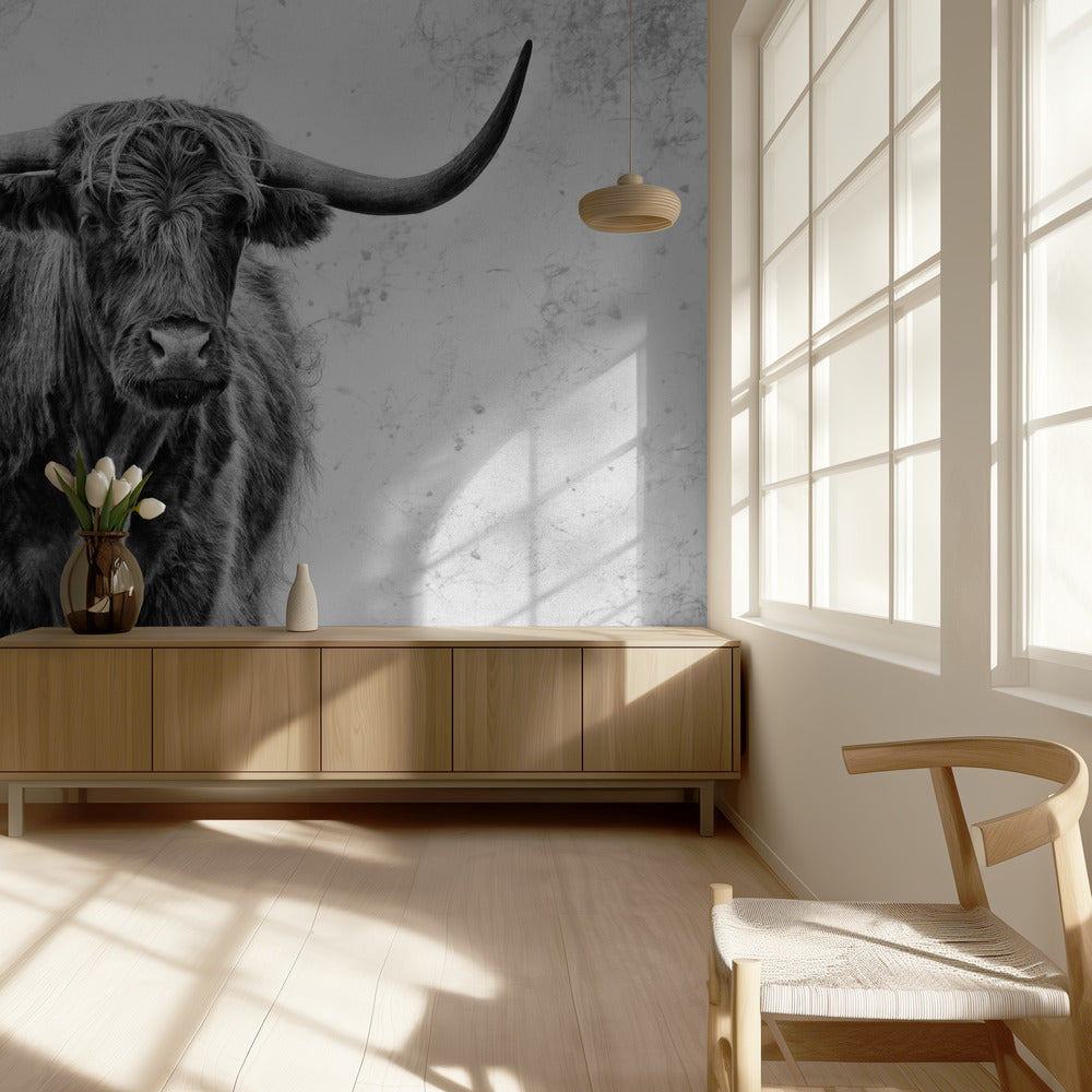 La force | Wallpaper