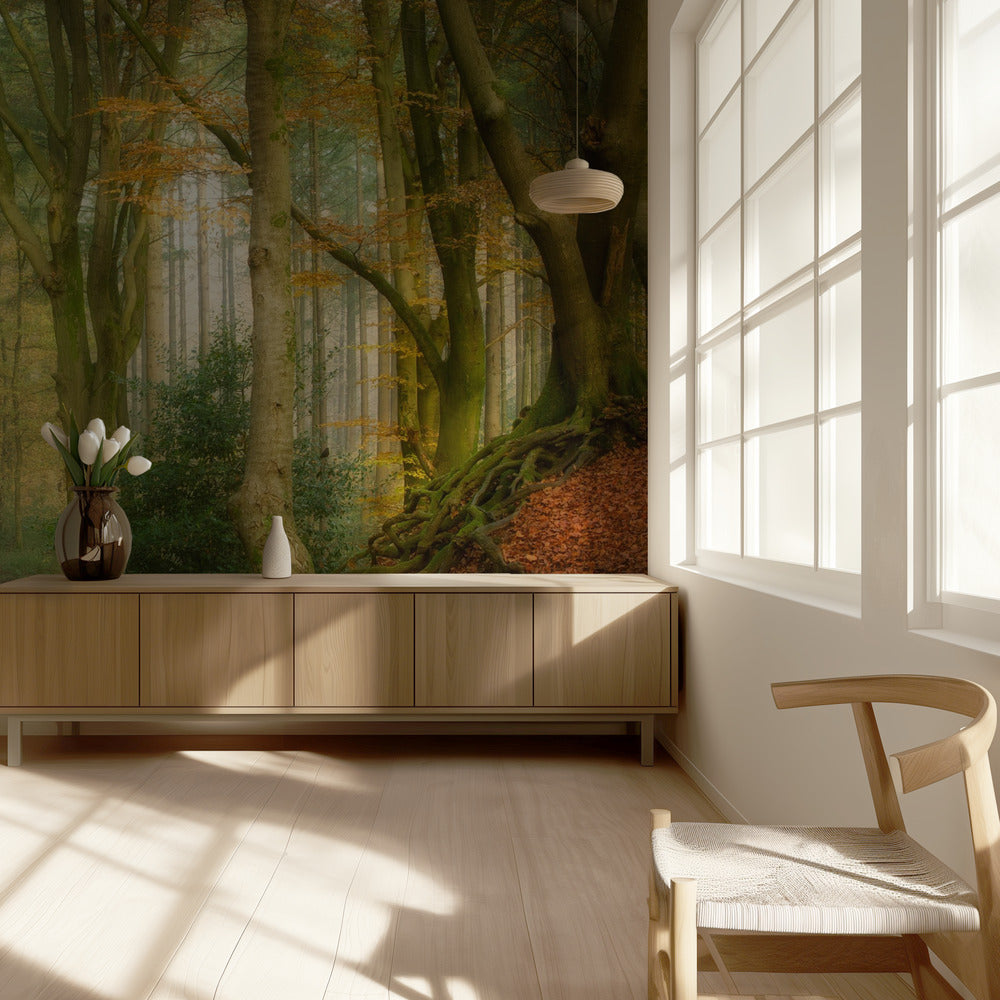 Following Fog | Wallpaper