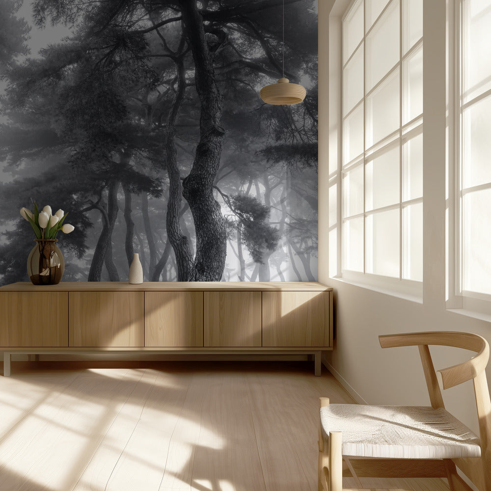 Endure for a hundred years | Wallpaper