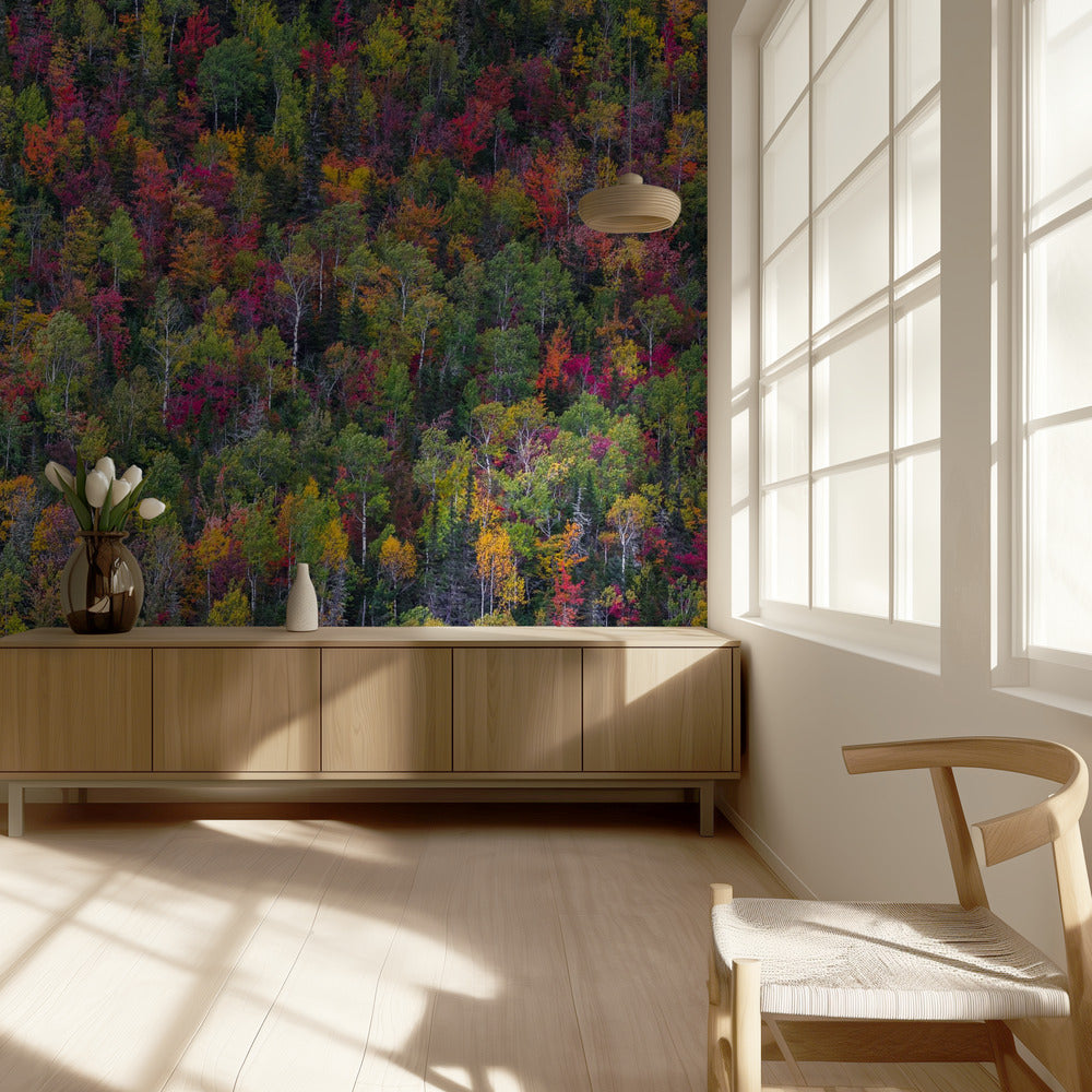 Color palette | Wallpaper