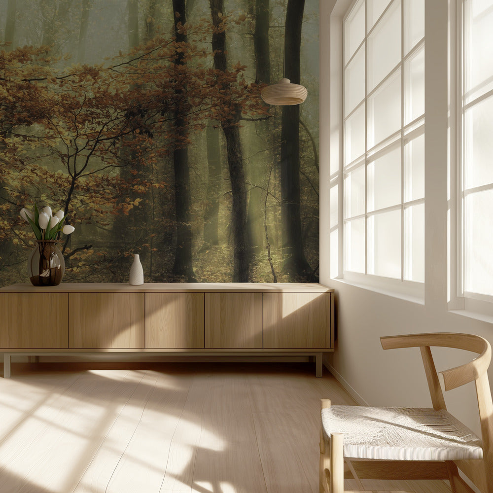 Soft fall | Wallpaper