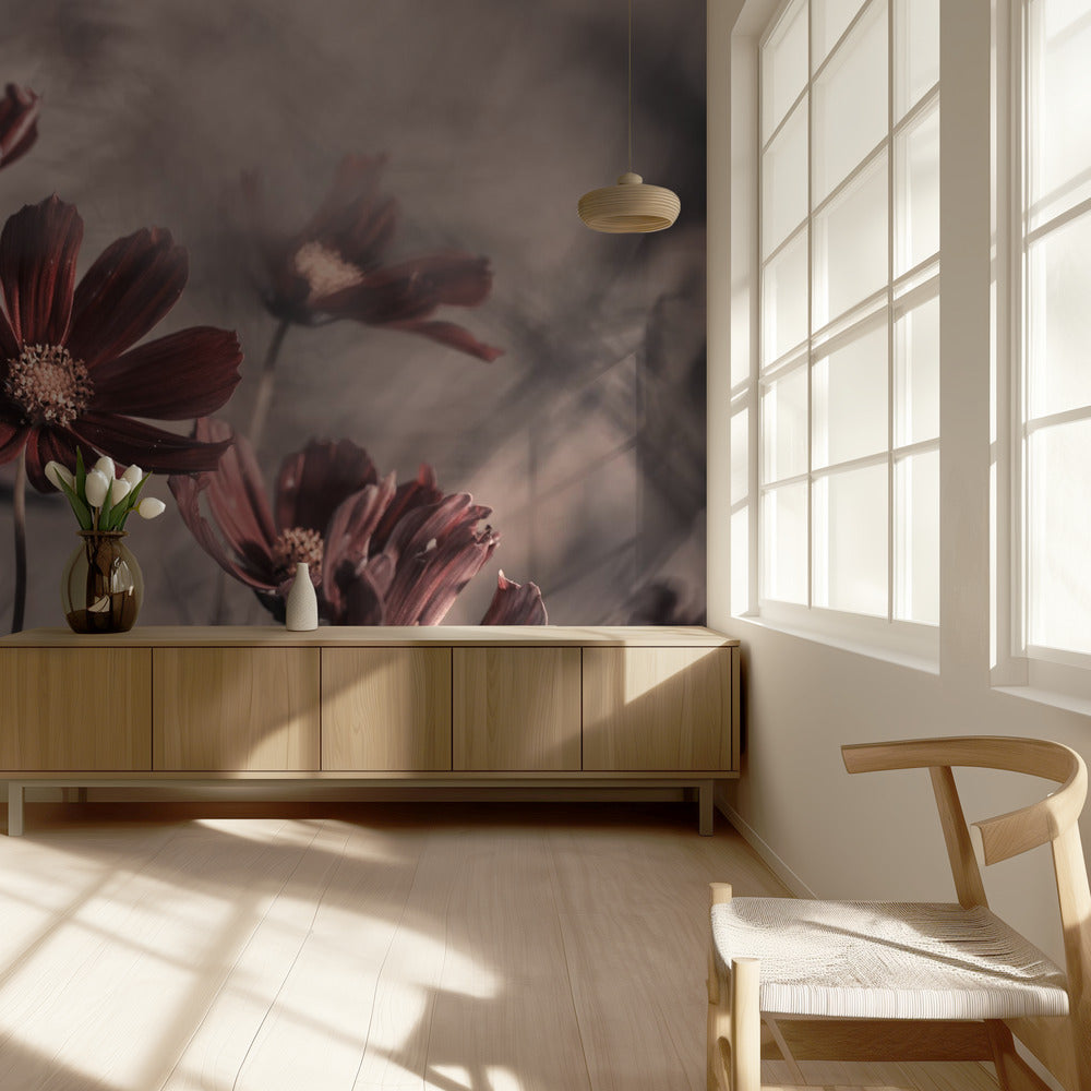 Cosmos 2019 | Wallpaper