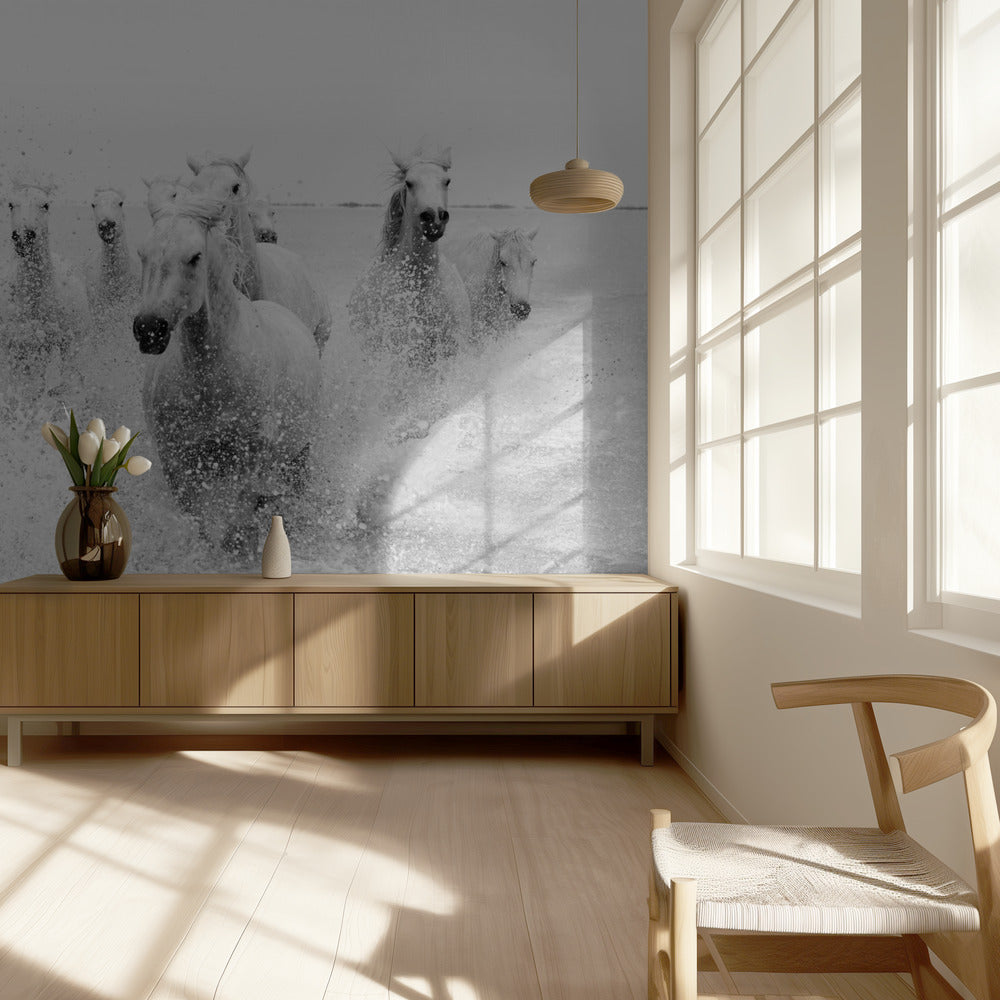 We are coming | Wallpaper