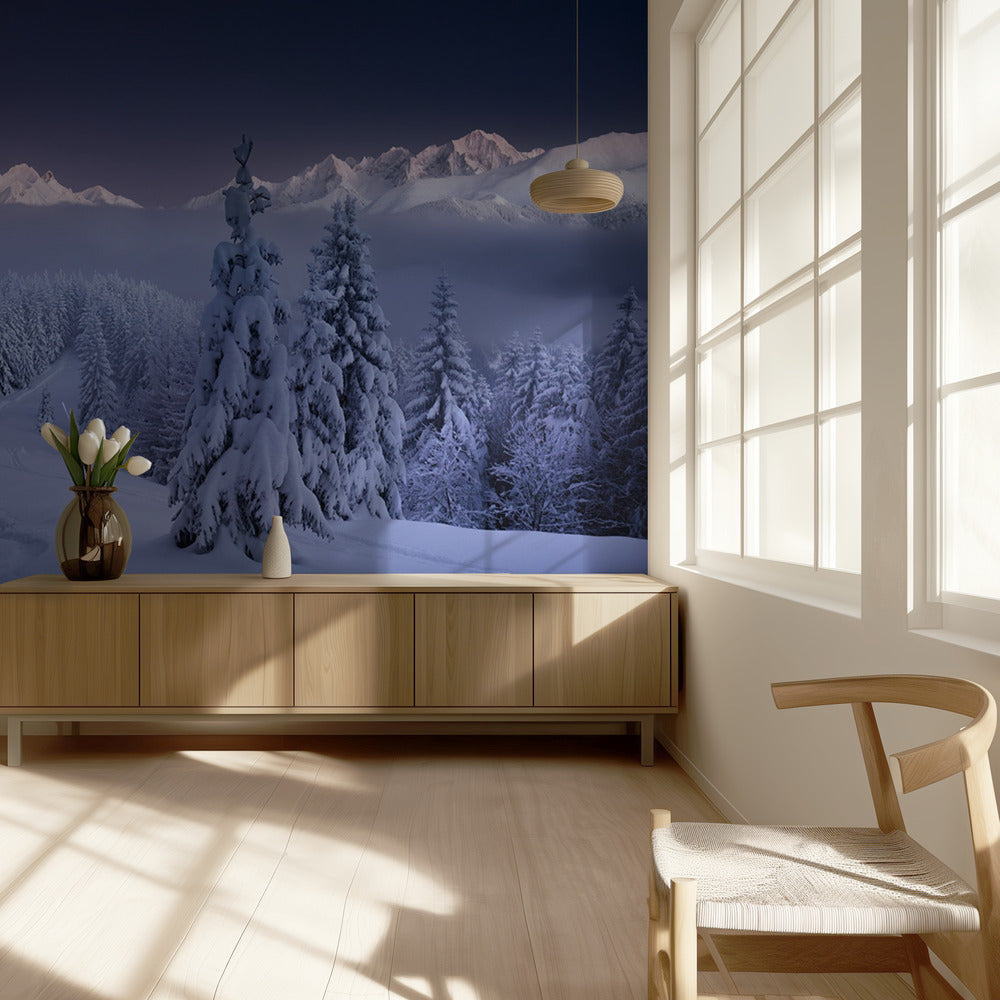 In the Winter | Wallpaper