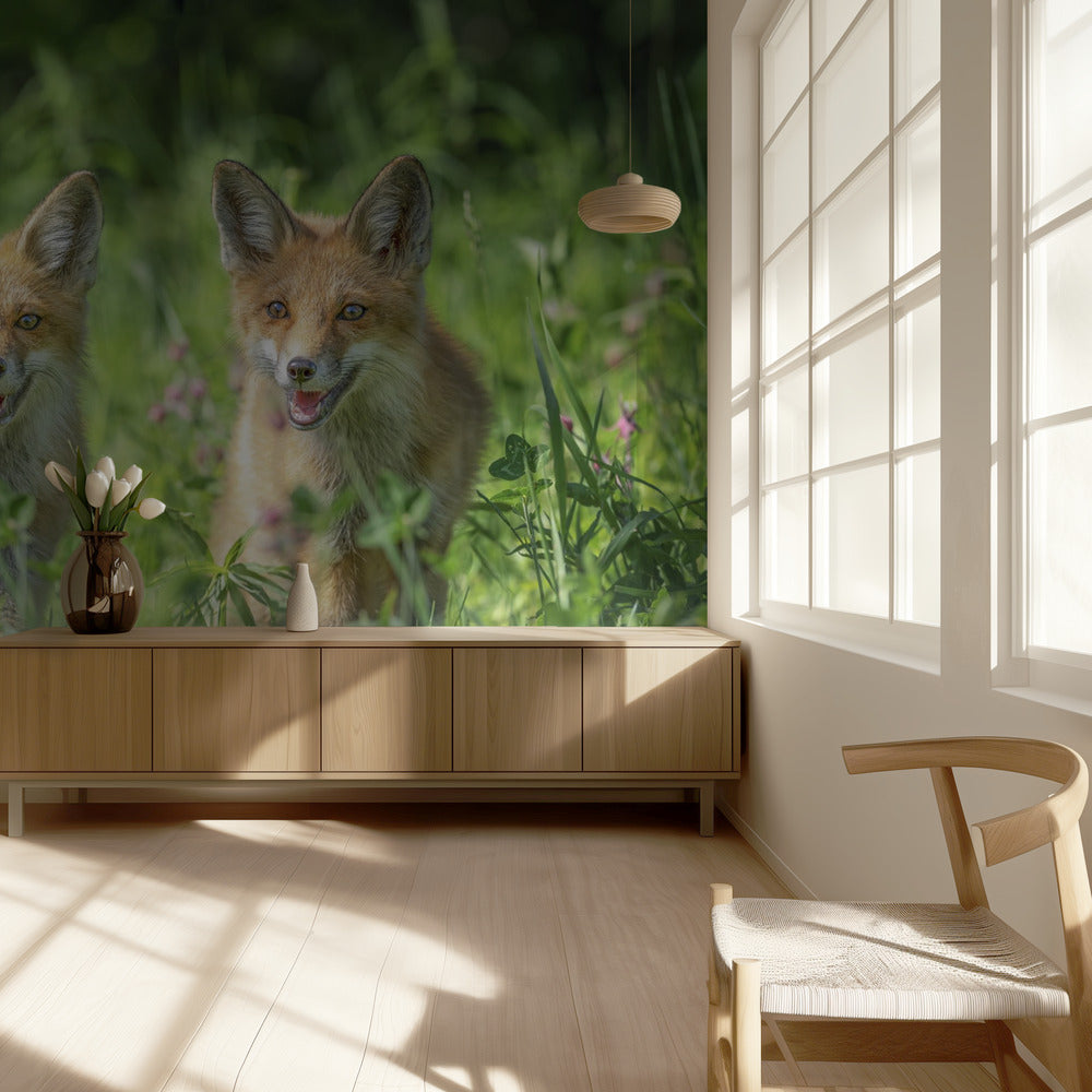 Brothers | Wallpaper