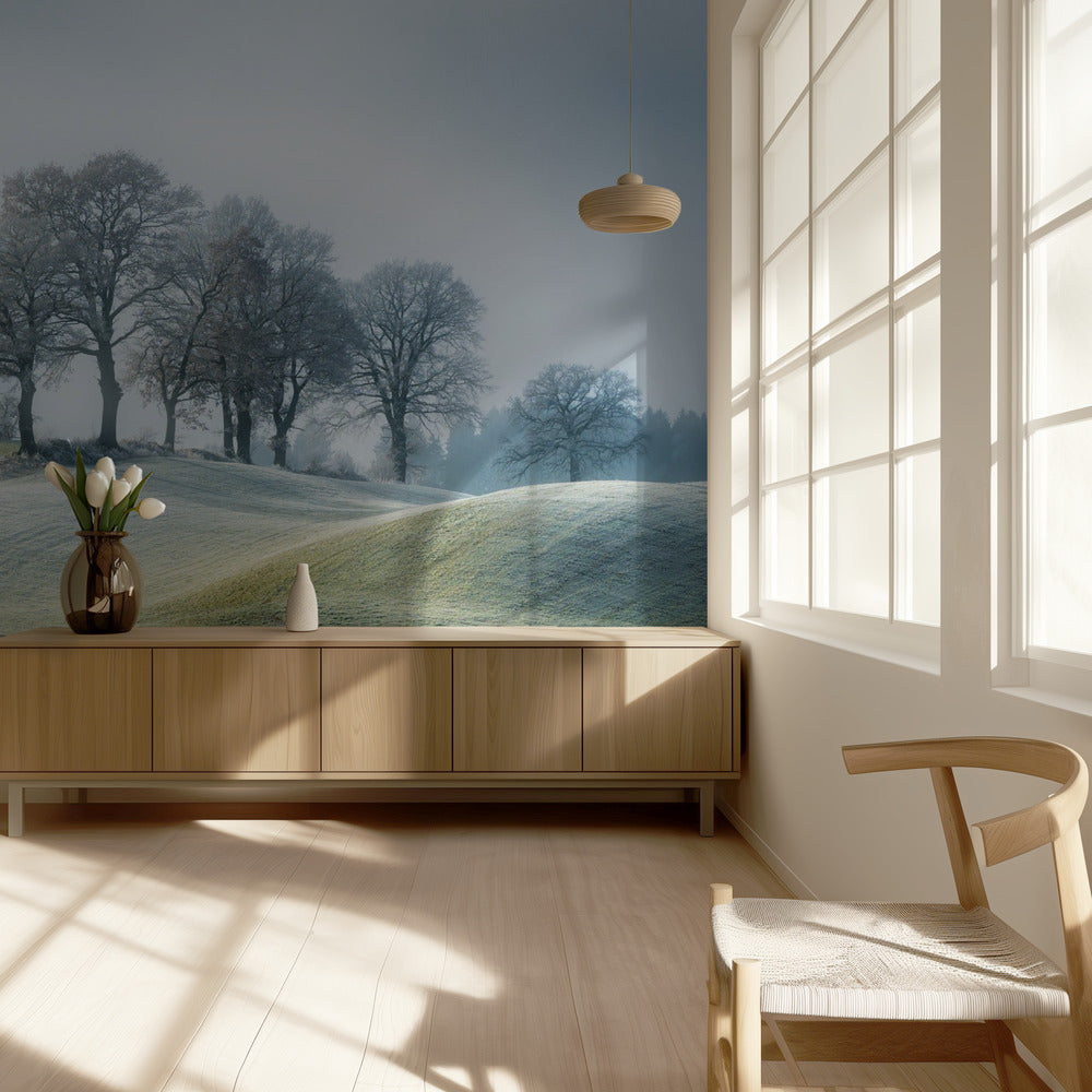 It is not in tuscany | Wallpaper