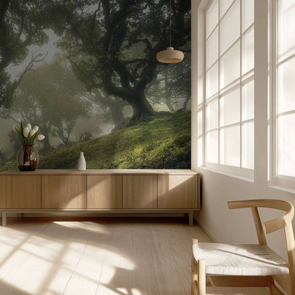 Enchanted Forest | Wallpaper