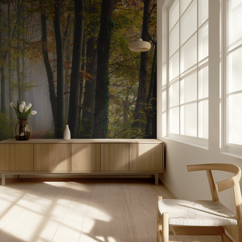 Autumn colorful forest | Wallpaper