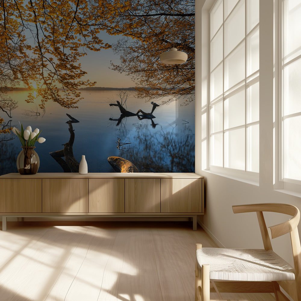 Autumn Morning | Wallpaper