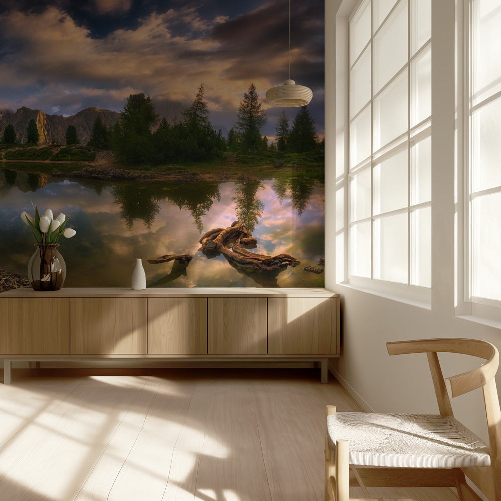 Limides... | Wallpaper