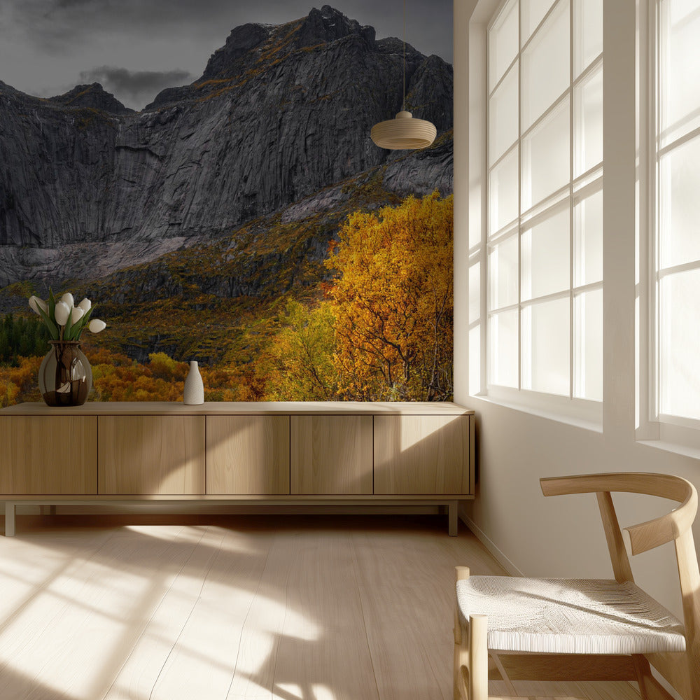 Road to the Wall | Wallpaper