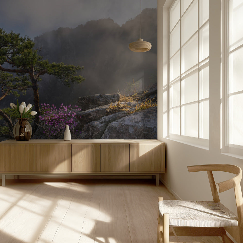 Dream dancer | Wallpaper