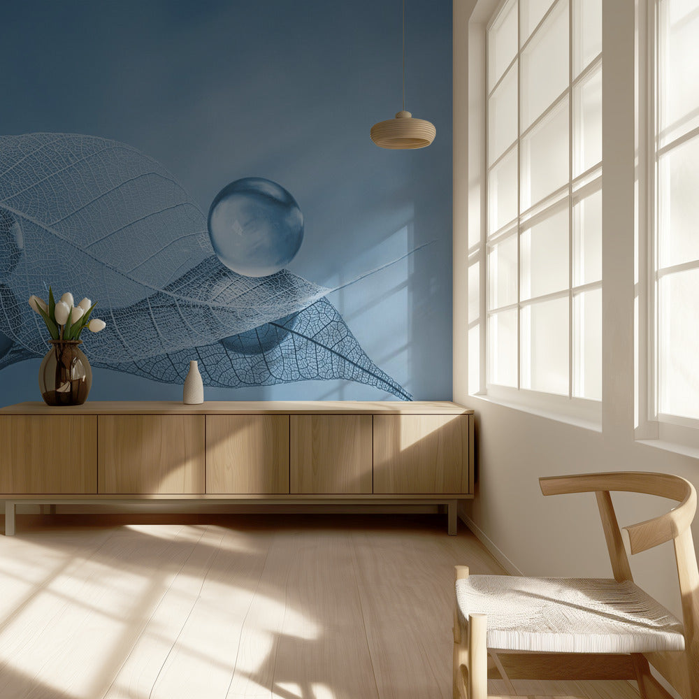 Dry leaf and Bubbles | Wallpaper