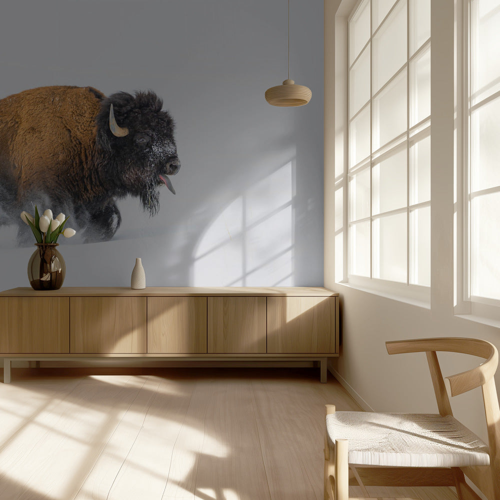 Bison in the Snow | Wallpaper