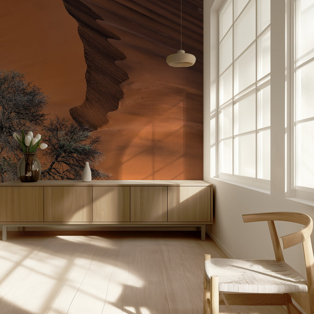 Acacia in the desert | Wallpaper