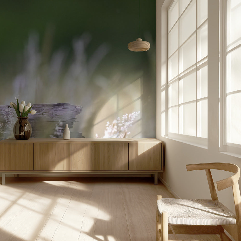 Little owl | Wallpaper