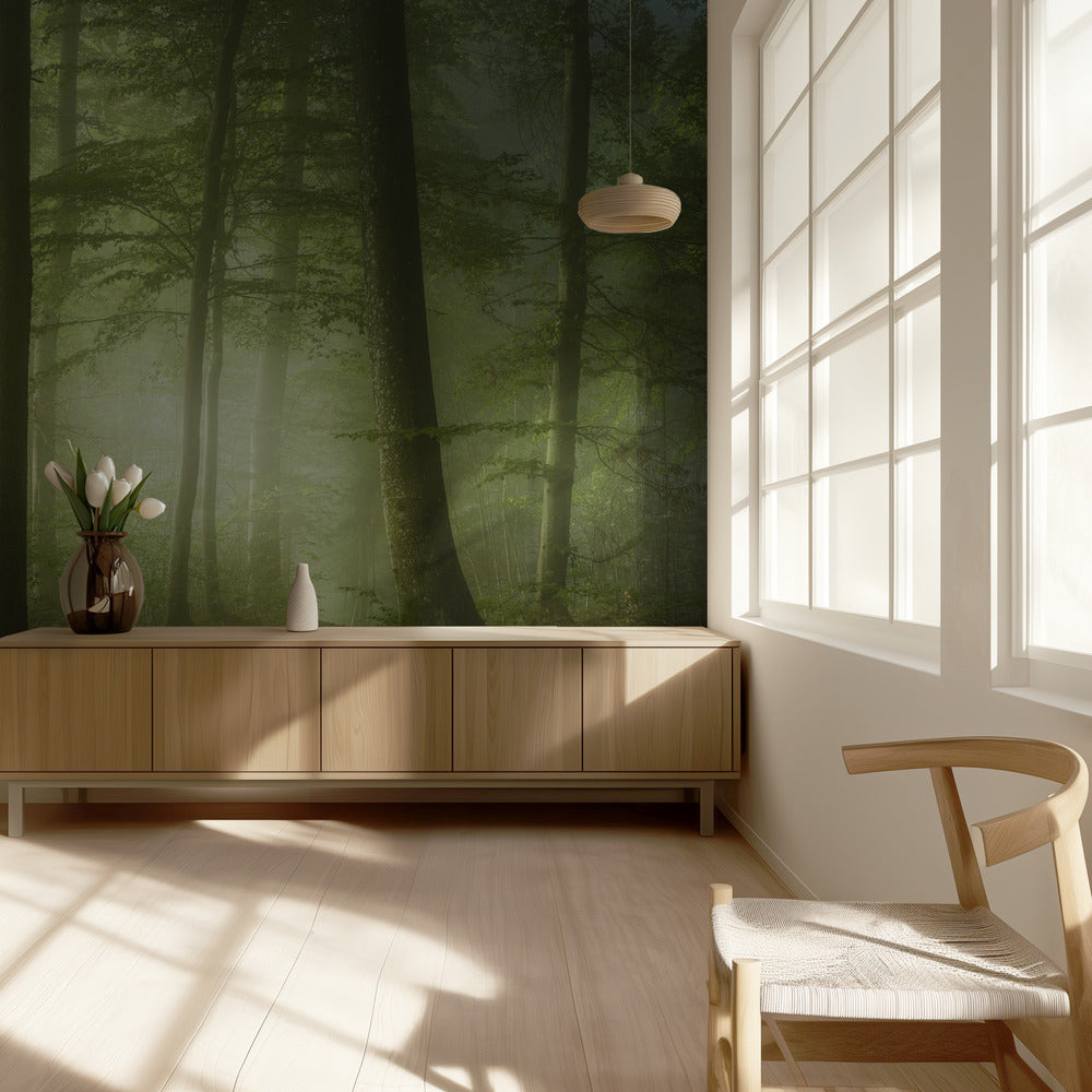 Mysterious Spring Morning | Wallpaper