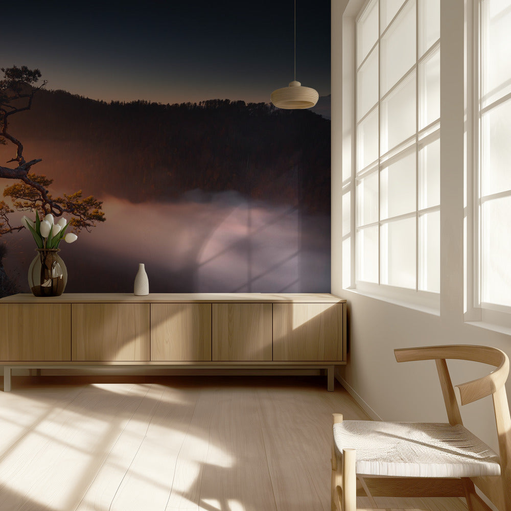 Sokolica | Wallpaper