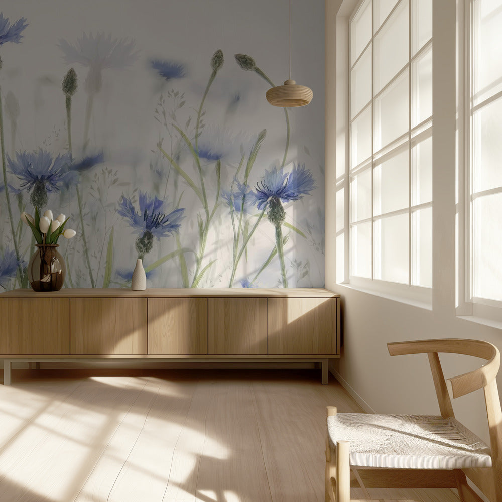 Cornflowers | Wallpaper