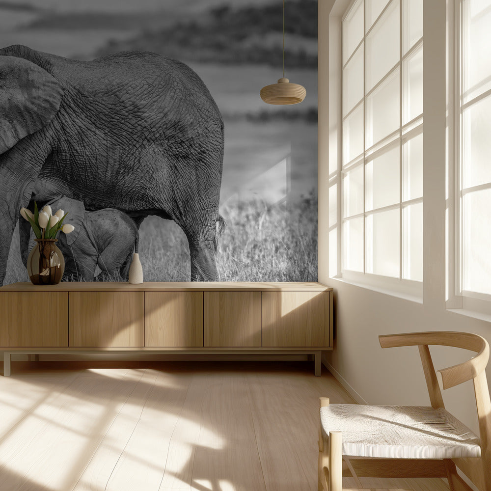 Staying close and protected | Wallpaper