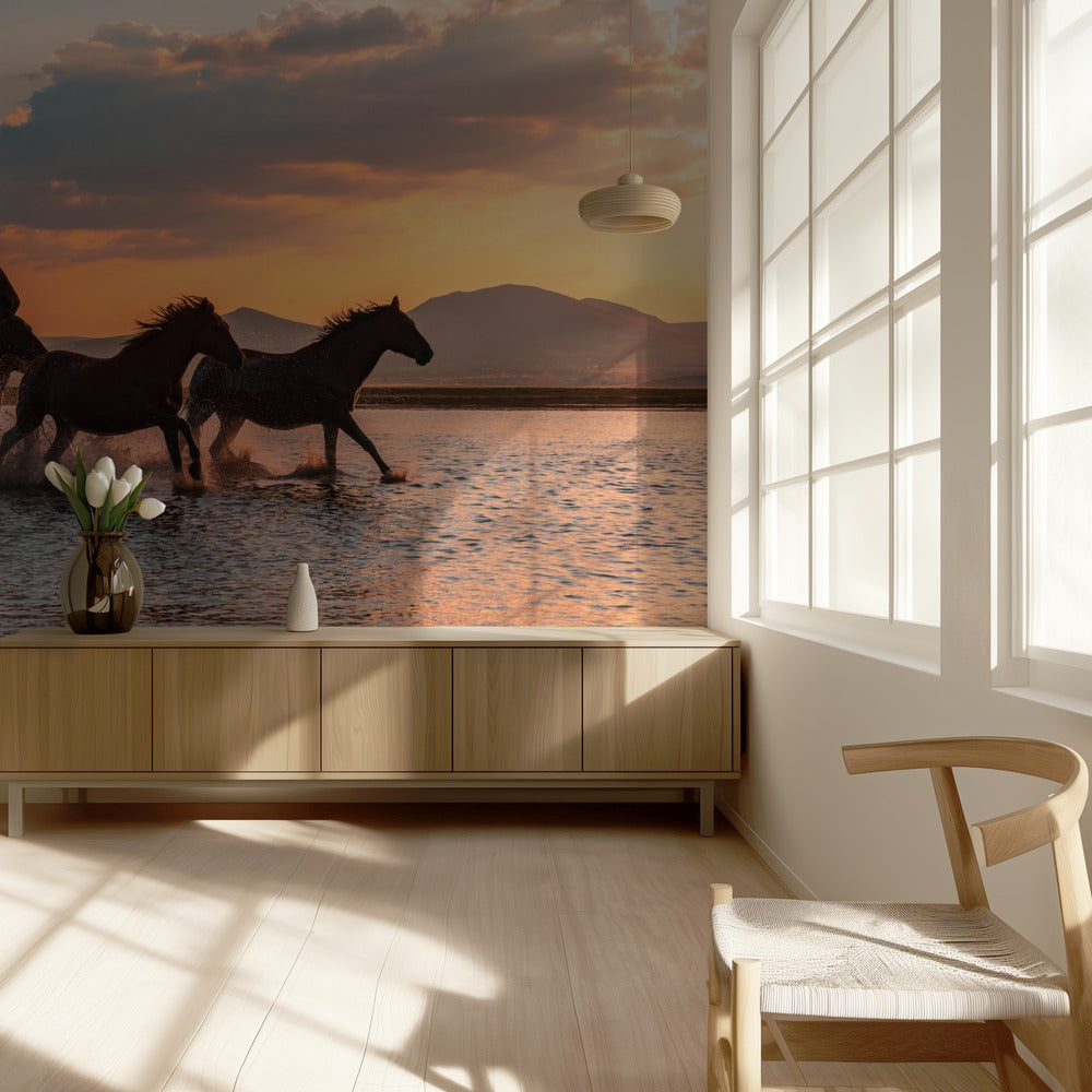 WATER HORSES | Wallpaper
