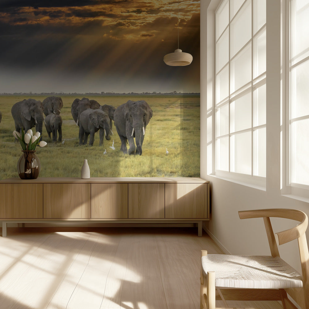 For the love of elephants | Wallpaper