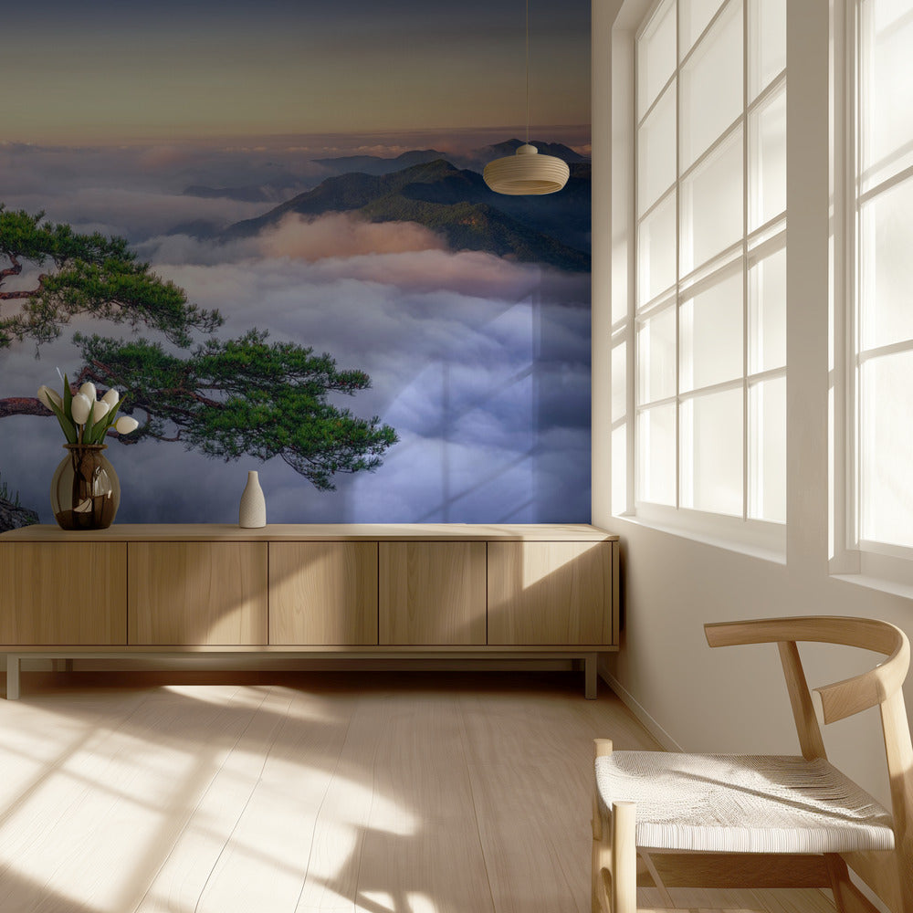 On the rock | Wallpaper