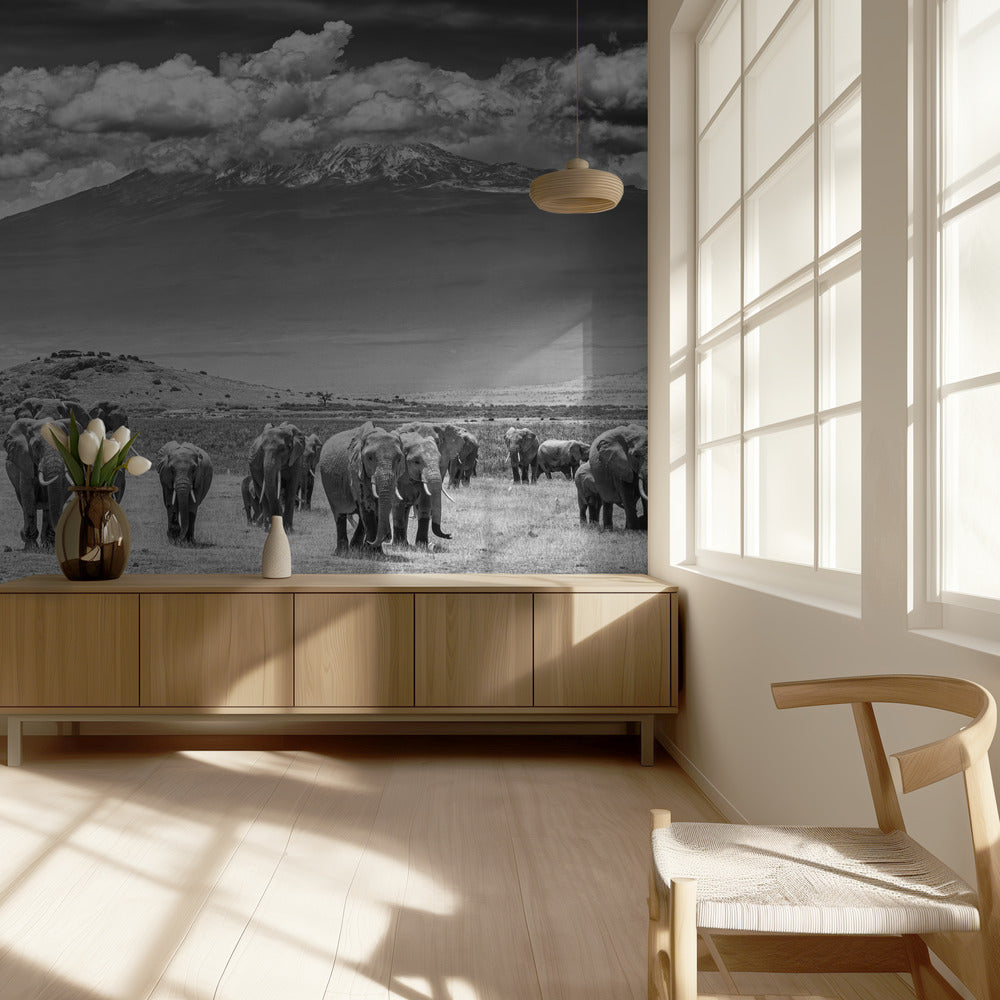 The Titans | Wallpaper