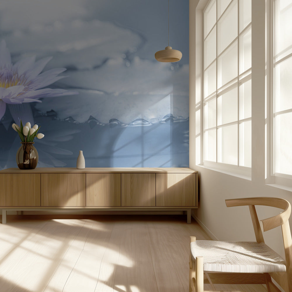 Reflection | Wallpaper