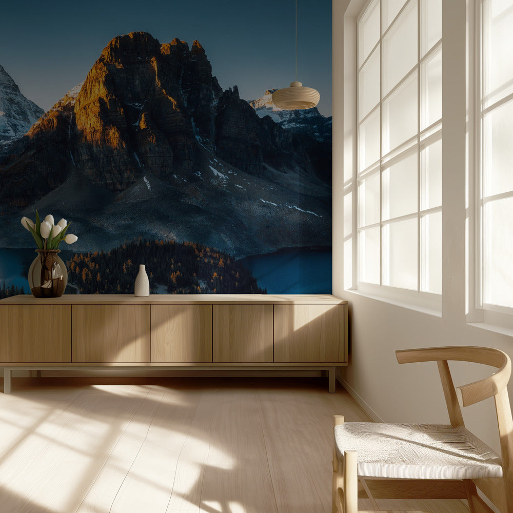 Morning Sunlight | Wallpaper