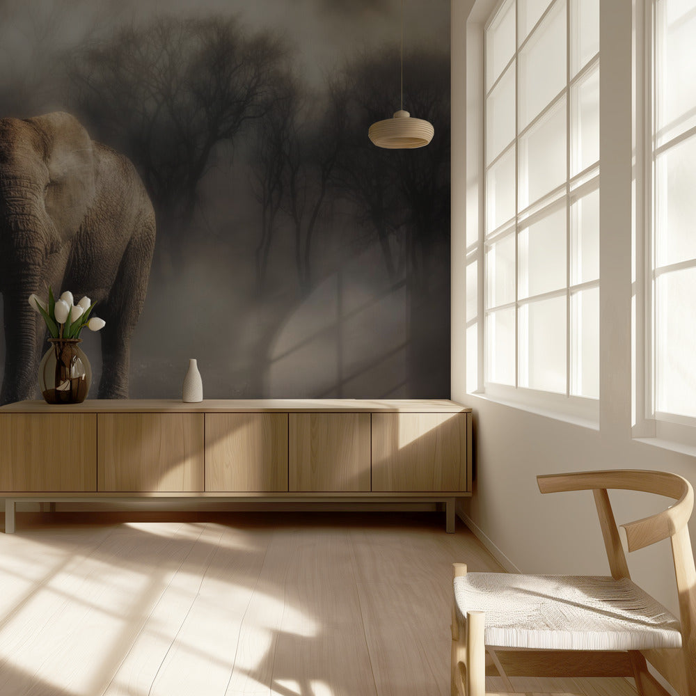 â€œ....elephant drinking water...â€™ | Wallpaper