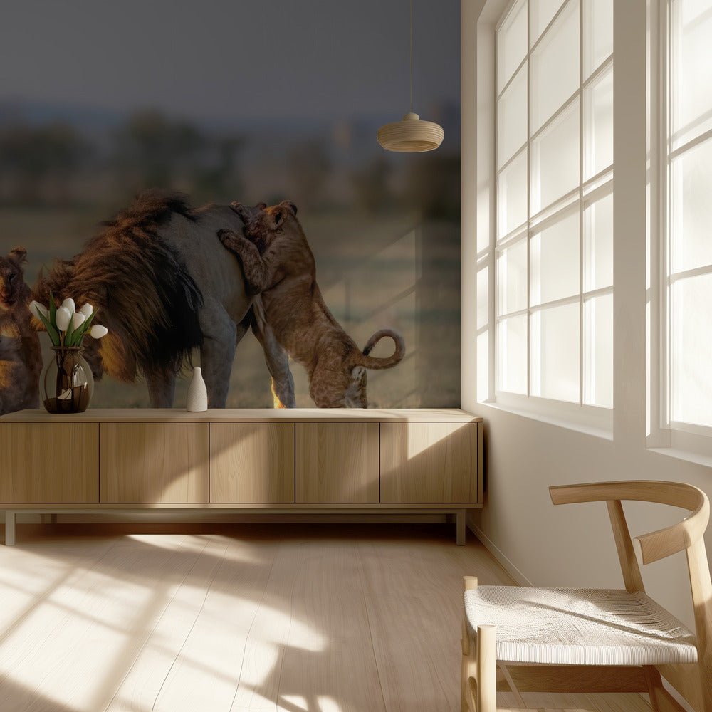 Dad and kids | Wallpaper