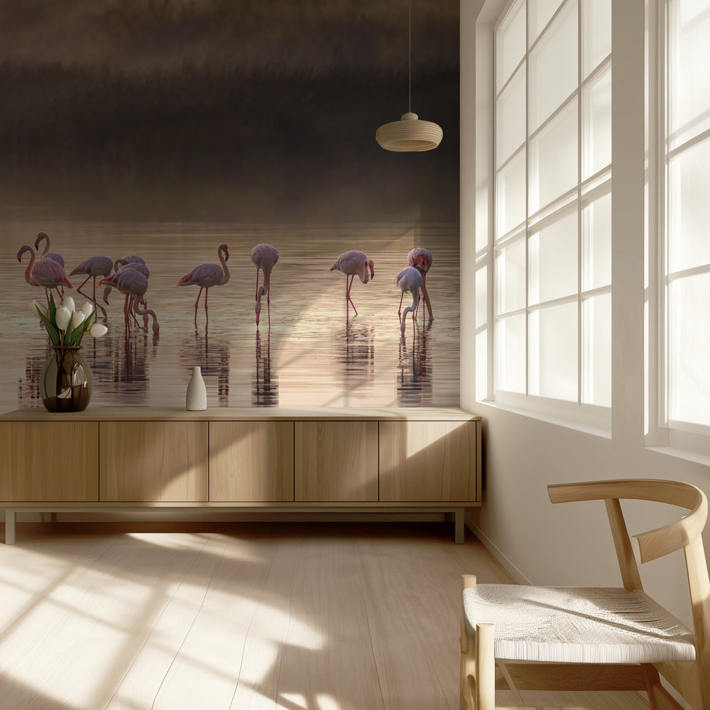 Photographic ode to Monet | Wallpaper